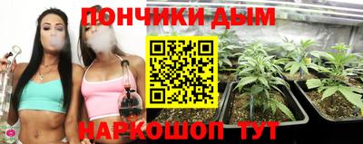 прущие крисы Лесосибирск