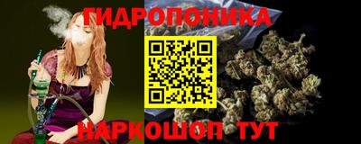 прущие крисы Лесосибирск