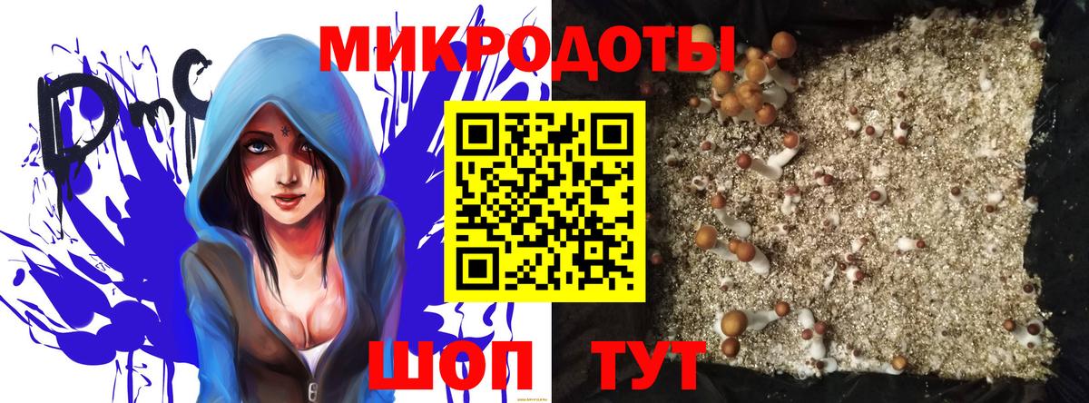 Псилоцибиновые грибы GOLDEN TEACHER Десногорск