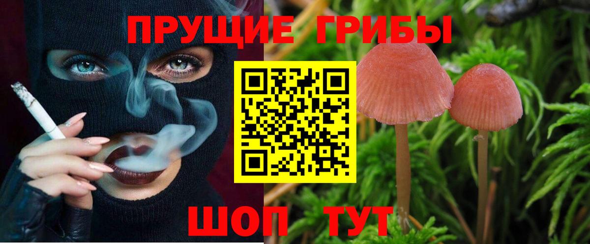 Псилоцибиновые грибы MAGIC MUSHROOMS  Вход с VPN  Десногорск 
